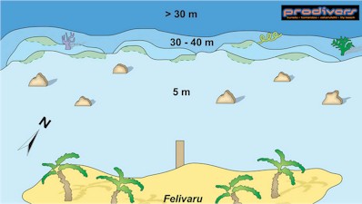 Felivaru Out